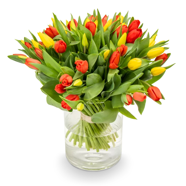 Bouquet of tulips